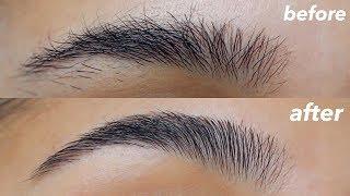 HOW TO GROOM + SHAPE YOUR EYEBROWS! (super easy + at home)