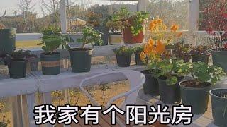 『阳光房打造』利用建造花园多余的边角料制作，我的多肉们有了好住处