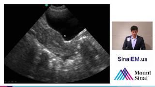 04 Peritoneum