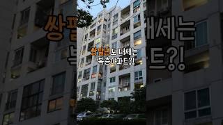  이름 - 올림픽선수기자촌 #올림픽선수기자촌 #부동산임장 #임장활동