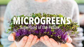 GROW Microgreens Easily with Higronics Hydroponic Systems!