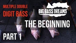 Swimbait Fishing - Big Bass Dreams The Beginning Part 1