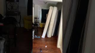 Why do they keep the trash? #processserver #eviction #house #shorts