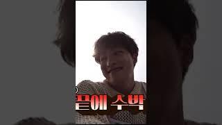 [세븐틴/디에잇/디노] 수박 먹고싶어요 그럼~*