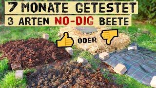 Experiment - No-Dig Beete nach 7 Monaten. Welche Methode erspart Arbeit und umgraben.