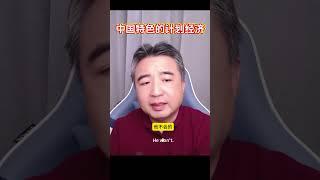 翟山鹰：中国特色的计划经济  #翟山鹰 #翟山鹰解密 #翟山鹰揭秘