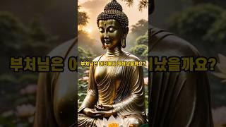 부처님 탄생의 비밀! #불교용어 #부처님 #지식 #불교이야기 #불교입문
