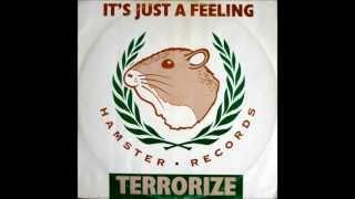 terrorize - its just a feeling  ( 12" MIX )