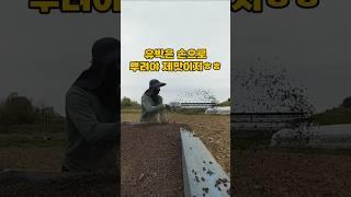 천평 손으로 유박 살포, 간단히 해결