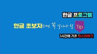 컴퓨터기초 한글 프로그램 배우세요