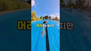 자유형 잘하고 싶다면 이거 1가지만 신경써주세요