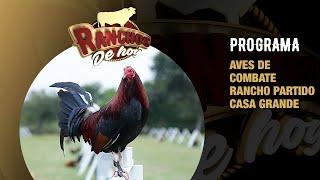 639. Aves de combate | Crianza, desarrollo y nutrición de gallos  | Granja Partido Casa Grande
