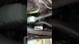 Oil LEAKING EVERYWHERE #ausauto #automobile #automechanic #automotive #mechanic #guide #diy #cars