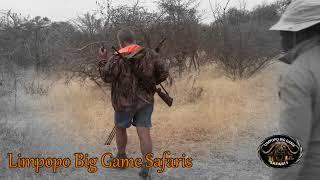 Limpopo Big Game Safaris Rhino hunt