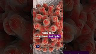 Hamilə qaldıqdan sonra hansı qan testləri verilməlidir?