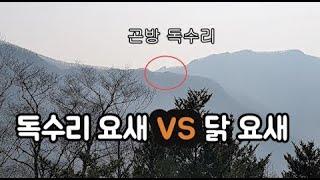 빗나간 혈, 치명적 질병의 침입