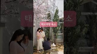 태교여행 만삭사진 #삼박한집 #5층레코드라이프 #속초여행 #고성여행 #국내여행