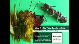 Human-Nature NatureFun (Autumn 1) - Hanging Garden Insectary