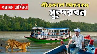 শীতকালে অন্যরকম সুন্দরবন ভ্রমণ | 2 Nights 3 Days Sundarban Tour Package | Sundarban Tour Plan 2024