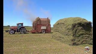 Stacking Hay in South Dakota (HESSTON STAKHAND)