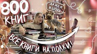 НОВЫЕ КНИЖНЫЕ ПОЛКИ 2024  РЕОРГАНИЗАЦИЯ  РАССТАВЛЯЮ КНИГИ