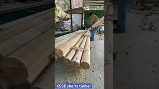 Timber log making process for mass timber building #feed #machine #timberhandling #woodmachinery