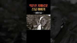 작은산 지혜로운 스님 이야기 #성철스님 #명언 #인생조언 #지혜 #삶의지혜 #법문