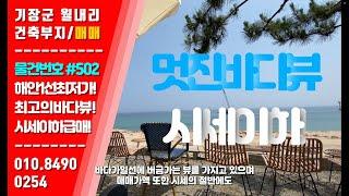 [급매/시세이하] 바다뷰 최상의 건축부지, 시세이하 매매가액, 베이커리카페, 외식상업용 건축부지 #부산상가매매 #건축부지 #카페부지 #기장군카페 #바다뷰 #기장토지매매