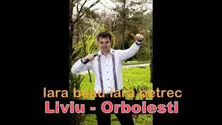 Iara beau iara petrec-Hora sarba manele la ziua lu Nea Ion-Liviu de la Orboiesti vechi 2007