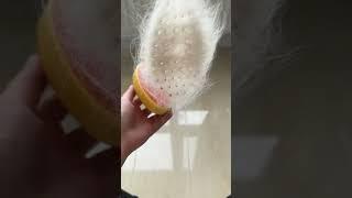 У Лелика выросли ушки 