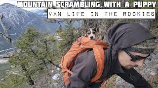 Mt. DeSmet with a Puppy - Wood Stove Cooking - BC Van Life