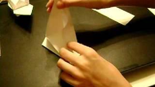 Chris' Origami Lesson