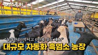 '돈 있어도 못해요' 시골 6만평 규모 흑염소 스마트팜 자동화 농장으로 매달 8천만원씩 벌어 대박난 40대 | 휴먼스토리 | 직업의모든것 | 극한직업 | 골라듄다큐 | 스마트팜