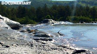 The Mud Volcanoes of Buzau | Unique Natural Phenomenon | Documentary