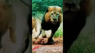 Best motivational video by Ashutosh Kumar. Morning motivation video in hindi.