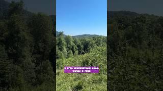 Невероятный кайф жизни в Сочи #житьвсочи