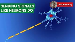 Sending Signals like Neurons Do (At the Edge of Chaos)