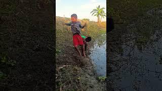 shit #funny #entertainment