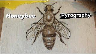 Honeybee Pyrography // Wood Burning Bee Tutorial