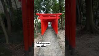 Tori Gates at Nagoya Shrine - Japan