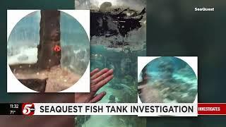 5 EYEWITNESS NEWS investigation into SeaQuest continues, more to be revealed at 6 p.m.