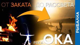 Рыбалка с ночёвкой. Река Ока. Когда ждать леща?