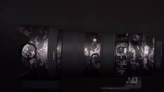 Happy world photography day special Whatsapp status/lipu creation/@lipu_creation_