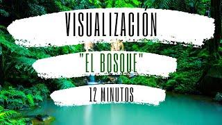 VISUALIZACIÓN "EL BOSQUE". MEDITACIÓN PARA LA ANSIEDAD Y EL AGOBIO. RELAJACIÓN DE CUERPO Y MENTE 