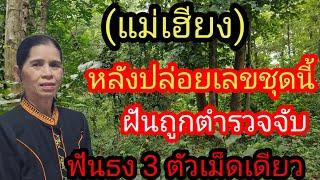 ผู้เฒ่า..พารวย,, Channel กำลังถ่ายทอดสด! แม่เฮียงฝันถูกตำรวจจับ