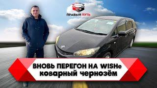 ПЕРЕГОН АВТОМОБИЛЯ TOYOTA WISH 1.8 X 2011. ВЛАДИВОСТОК-СТАРЫЙ ОСКОЛ. ОСЕНЬ 2024. ЗАКАЗ АВТОМОБИЛЕЙ