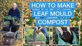 How to Make Leaf Mould Compost – turn leaves into leaf mold step-by-step