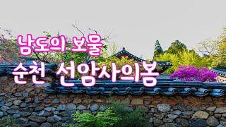 일년내내 꽃이 지지 않는 고향집 같은  순천 선암사의 봄길걸으며 사진찍기