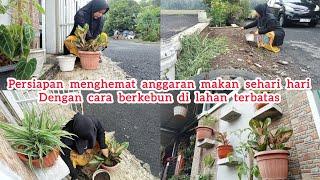 PERSIAPAN HEMAT ANGGARAN MAKAN SEHARI HARI ‼️| BERKEBUN DI LAHAN TERBATAS