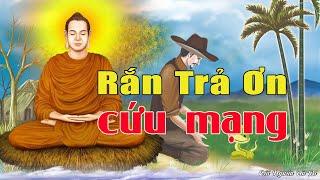 Truyện Cổ Phật Giáo -  Tổng hợp Những câu chuyện Phật Giáo hay - TRUYỆN HAY NGHE TĨNH TÂM GIÁC NGỘ